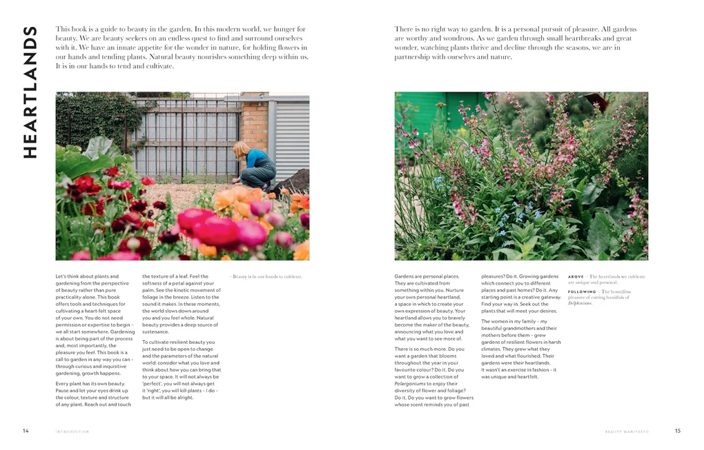 Super Bloom - Image 5