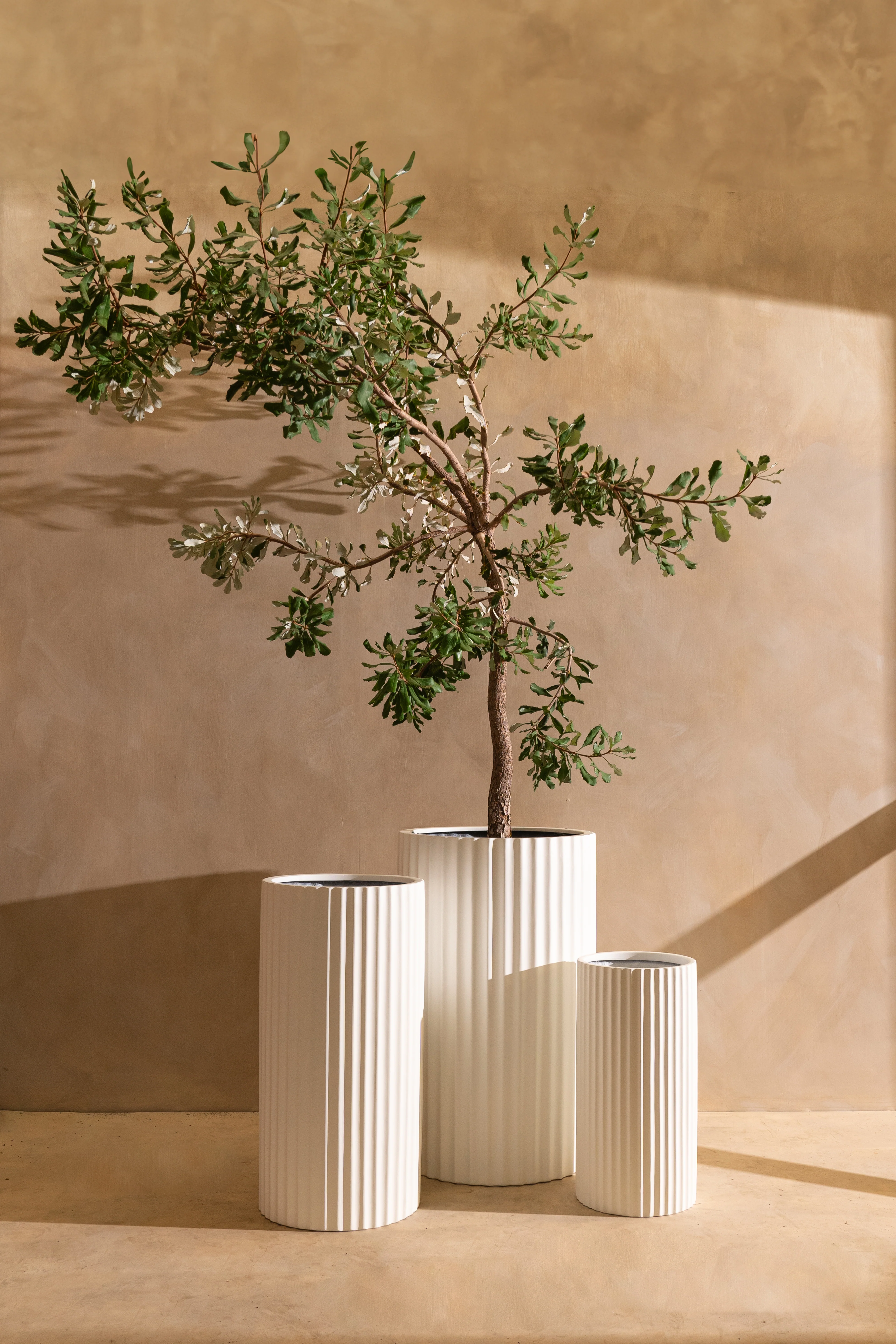 Tall Turner Pot - Image 2