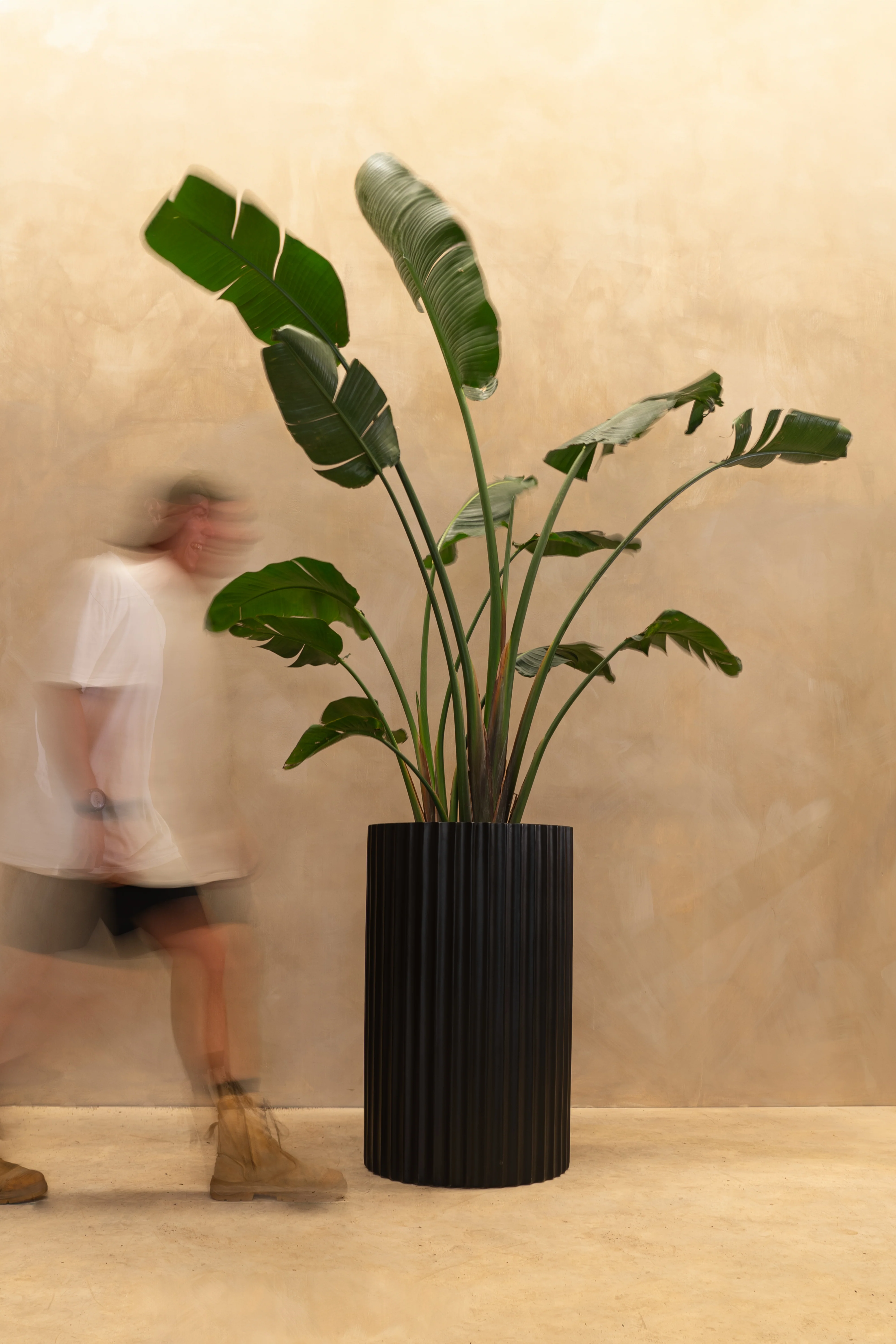 Tall Turner Pot - Image 6
