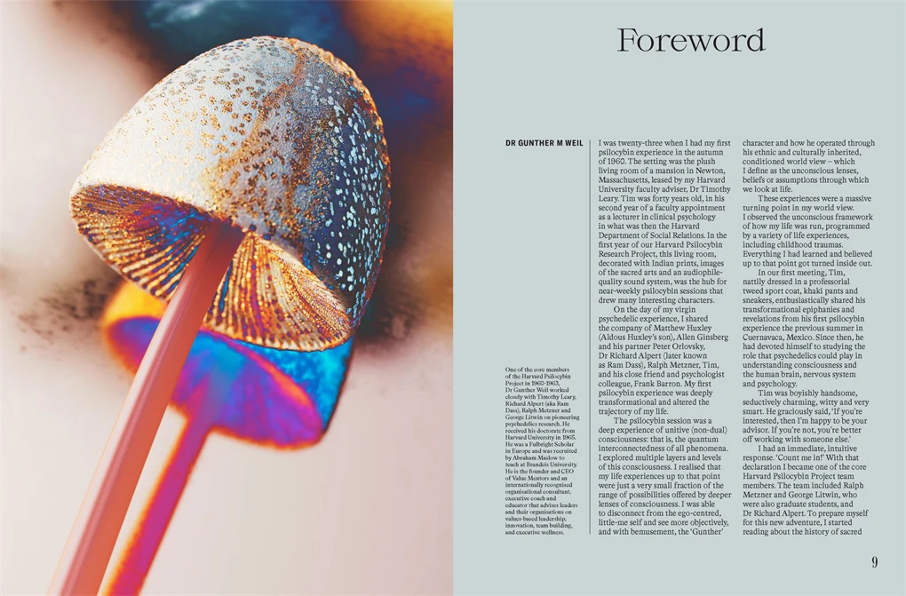 The Future is Fungi - Image 3