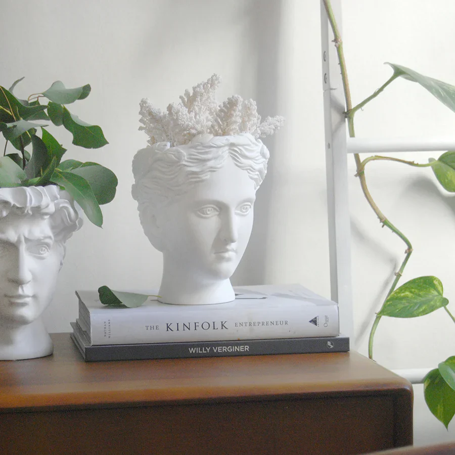 Venus Vase - Image 4