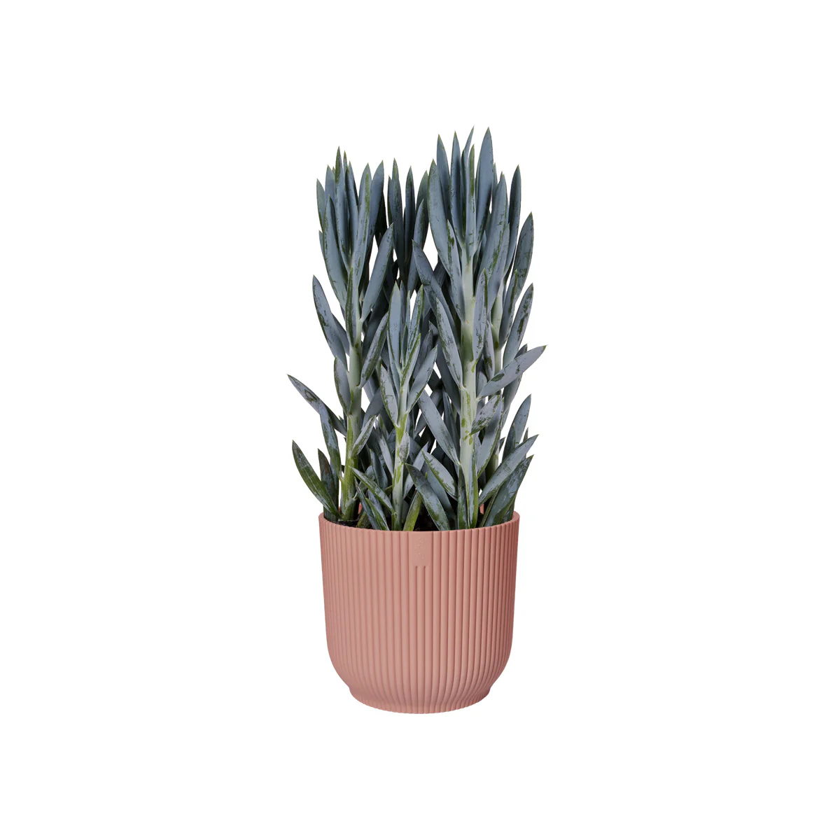 Vibes Fold Round - Image 6