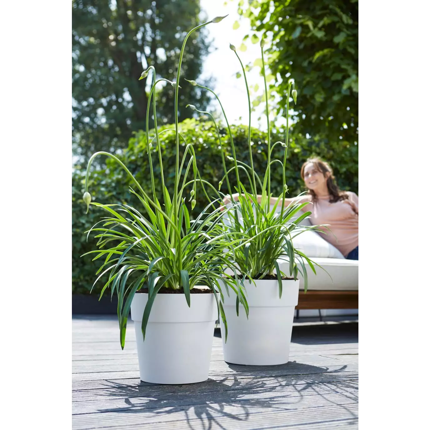 Vibia Straight Round - Image 3