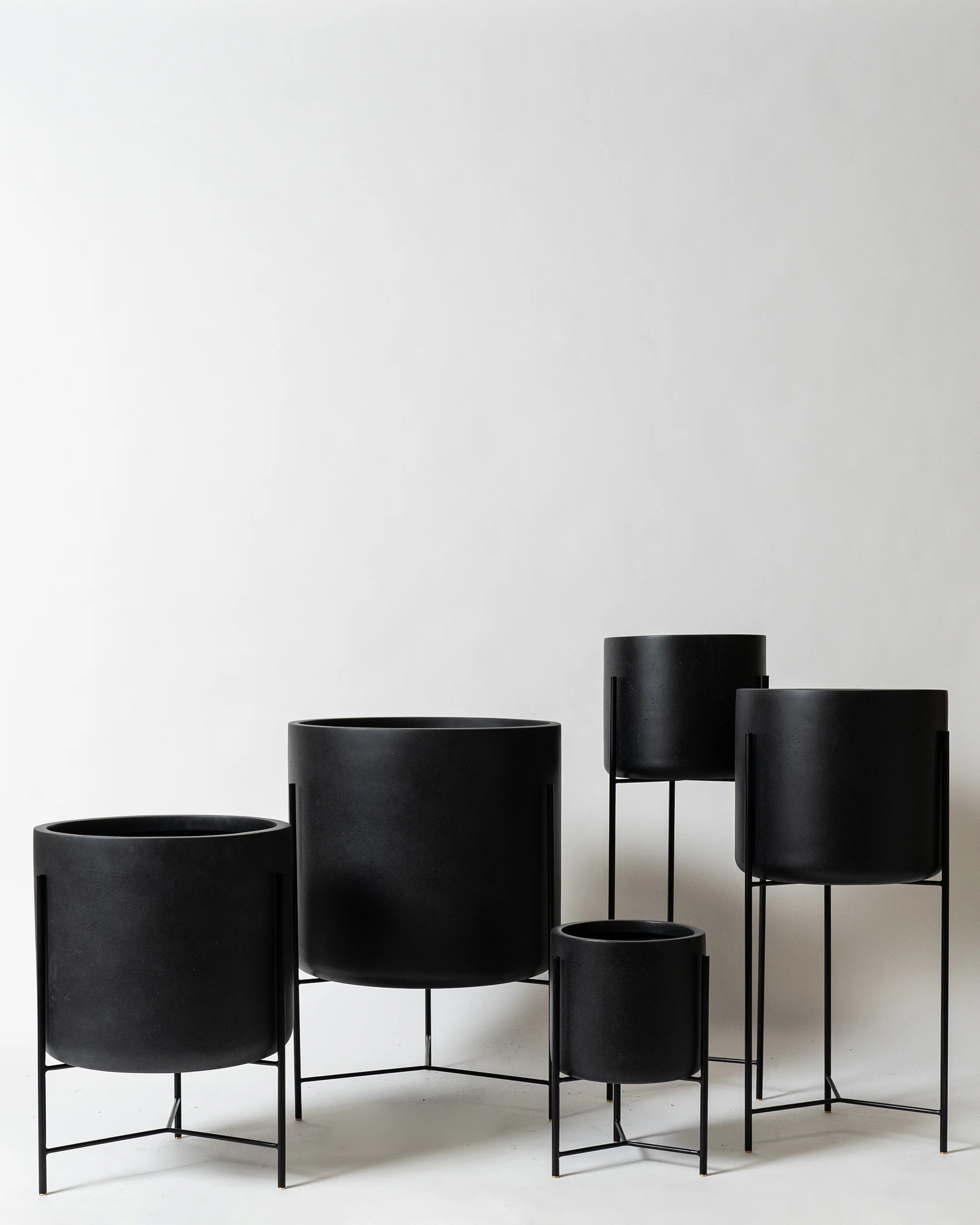Waratah Stand - Image 10