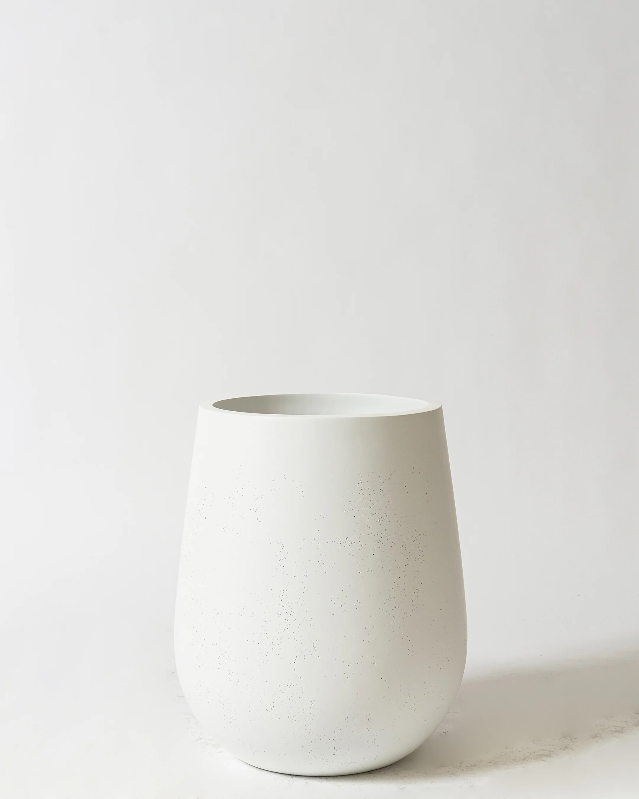 Westringia Pot