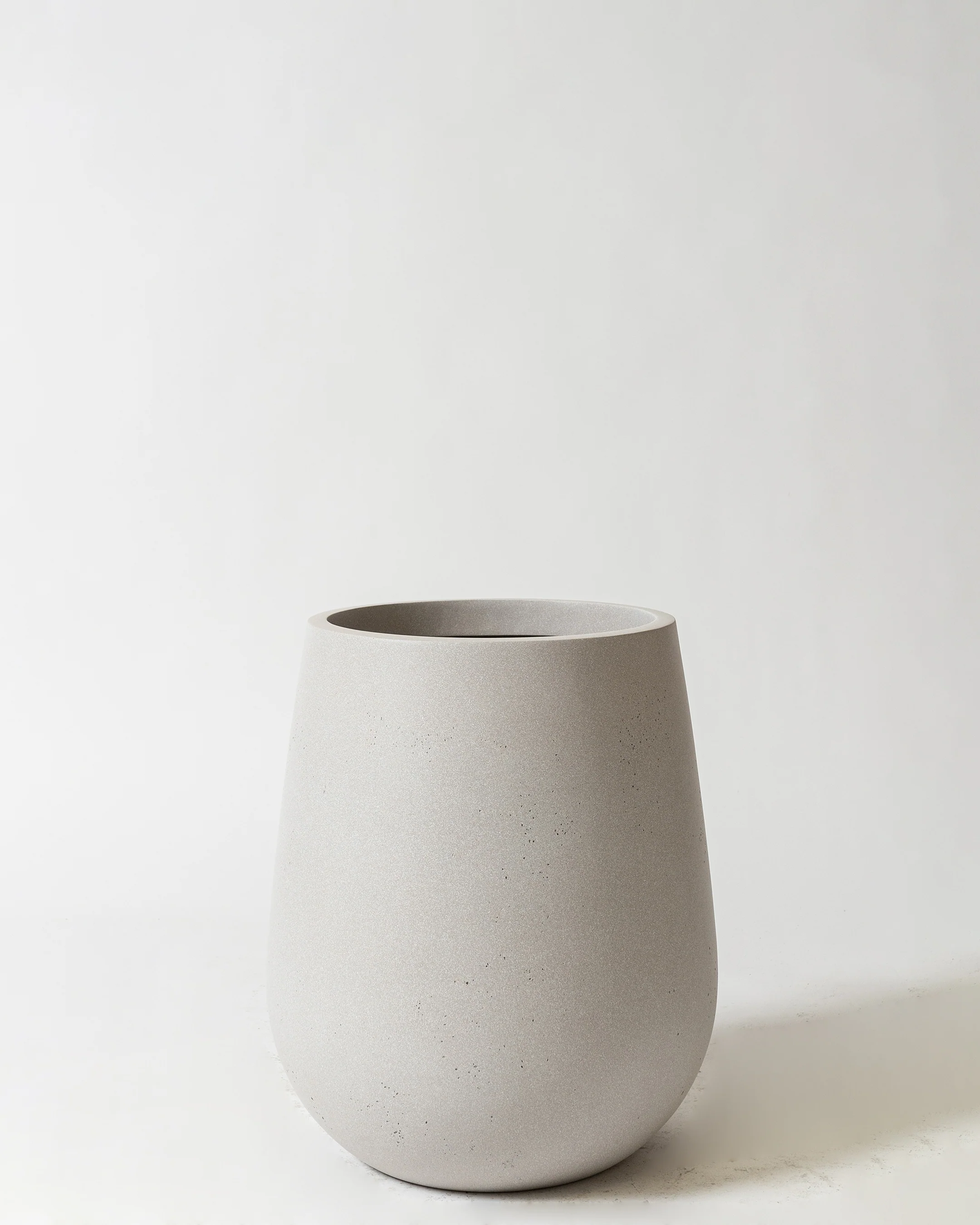 Westringia Pot - Image 4