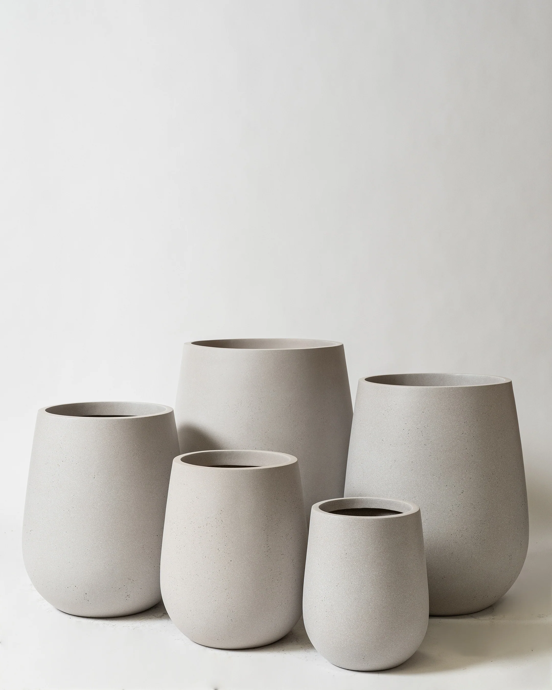 Westringia Pot - Image 5
