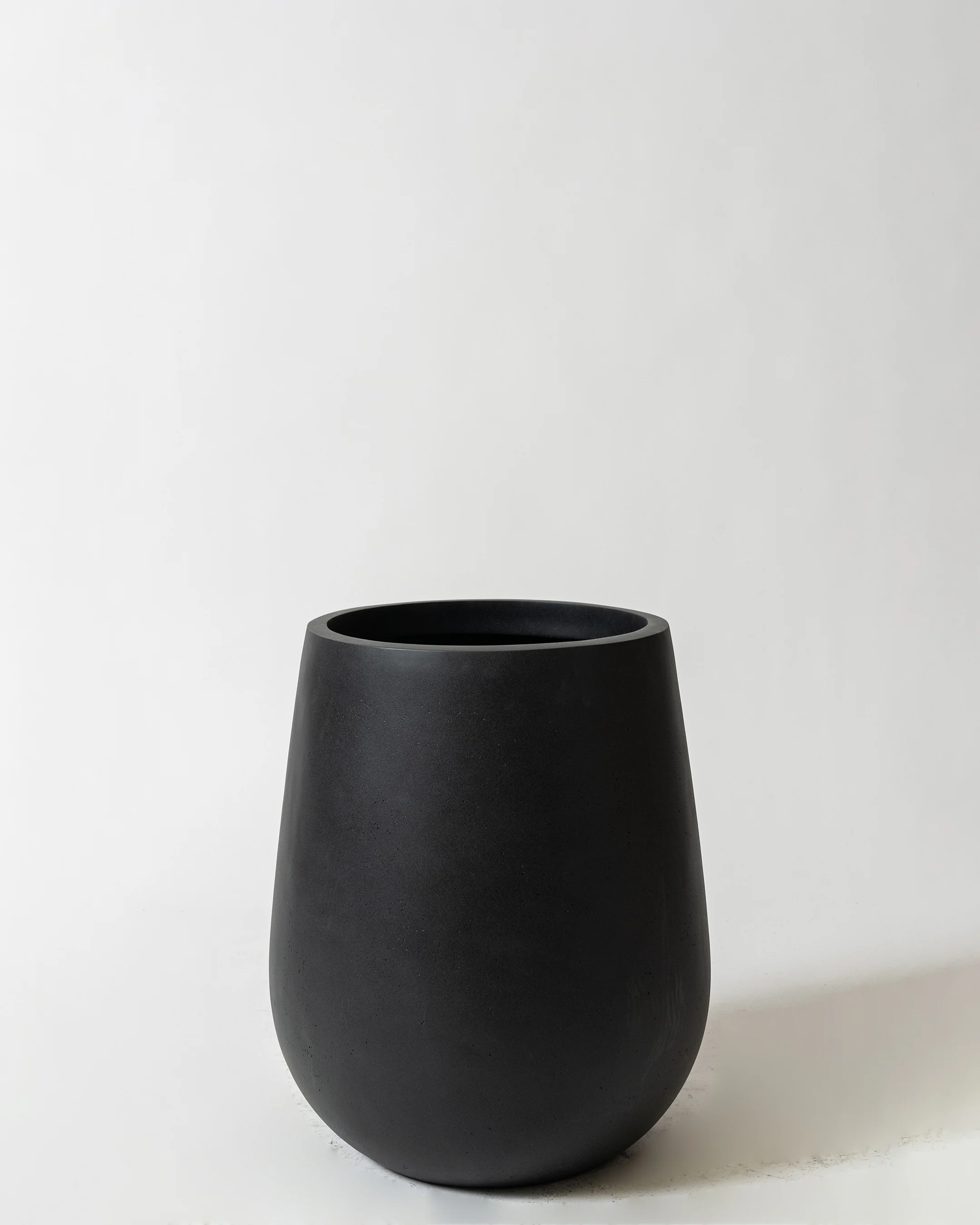 Westringia Pot - Image 6
