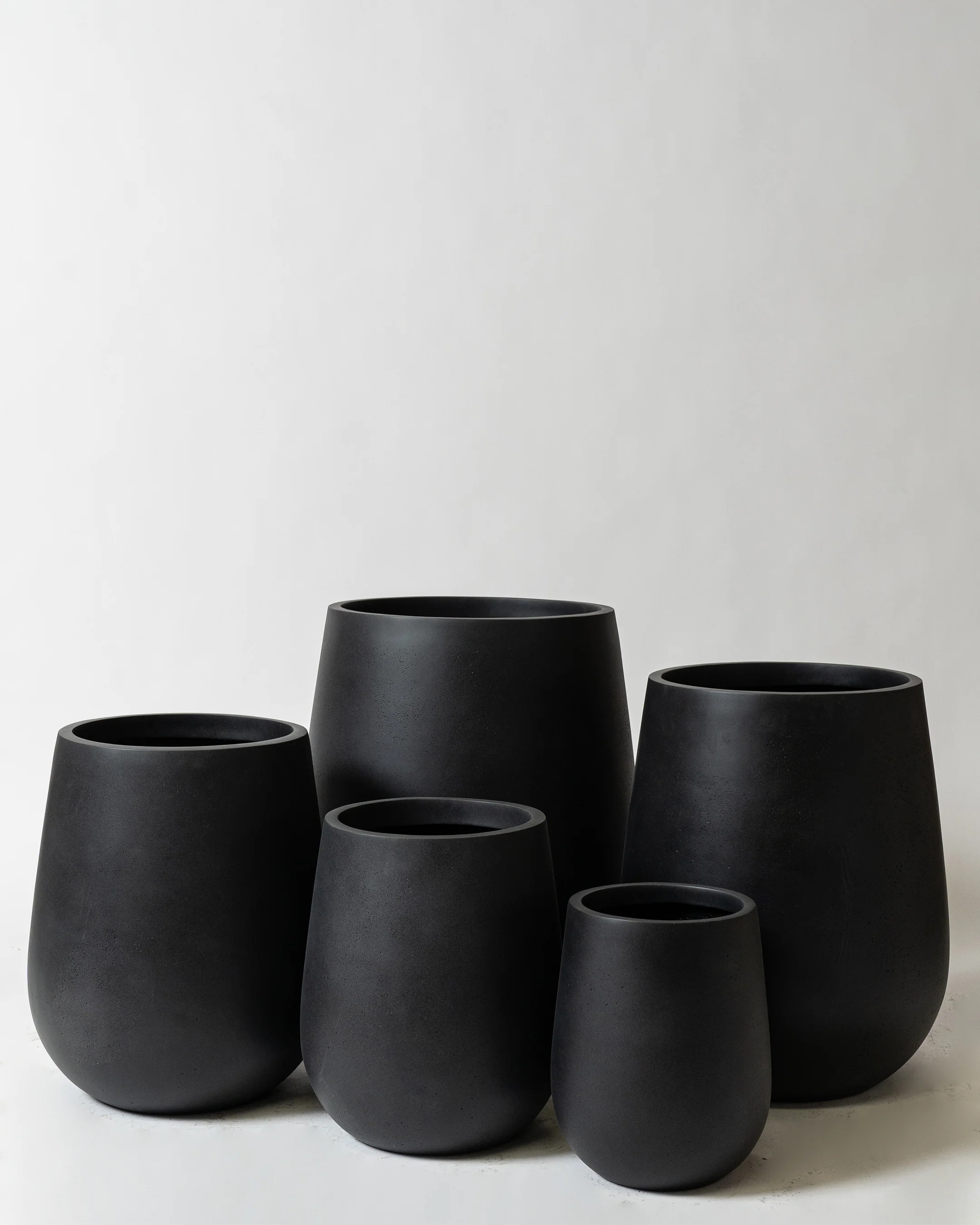 Westringia Pot - Image 7