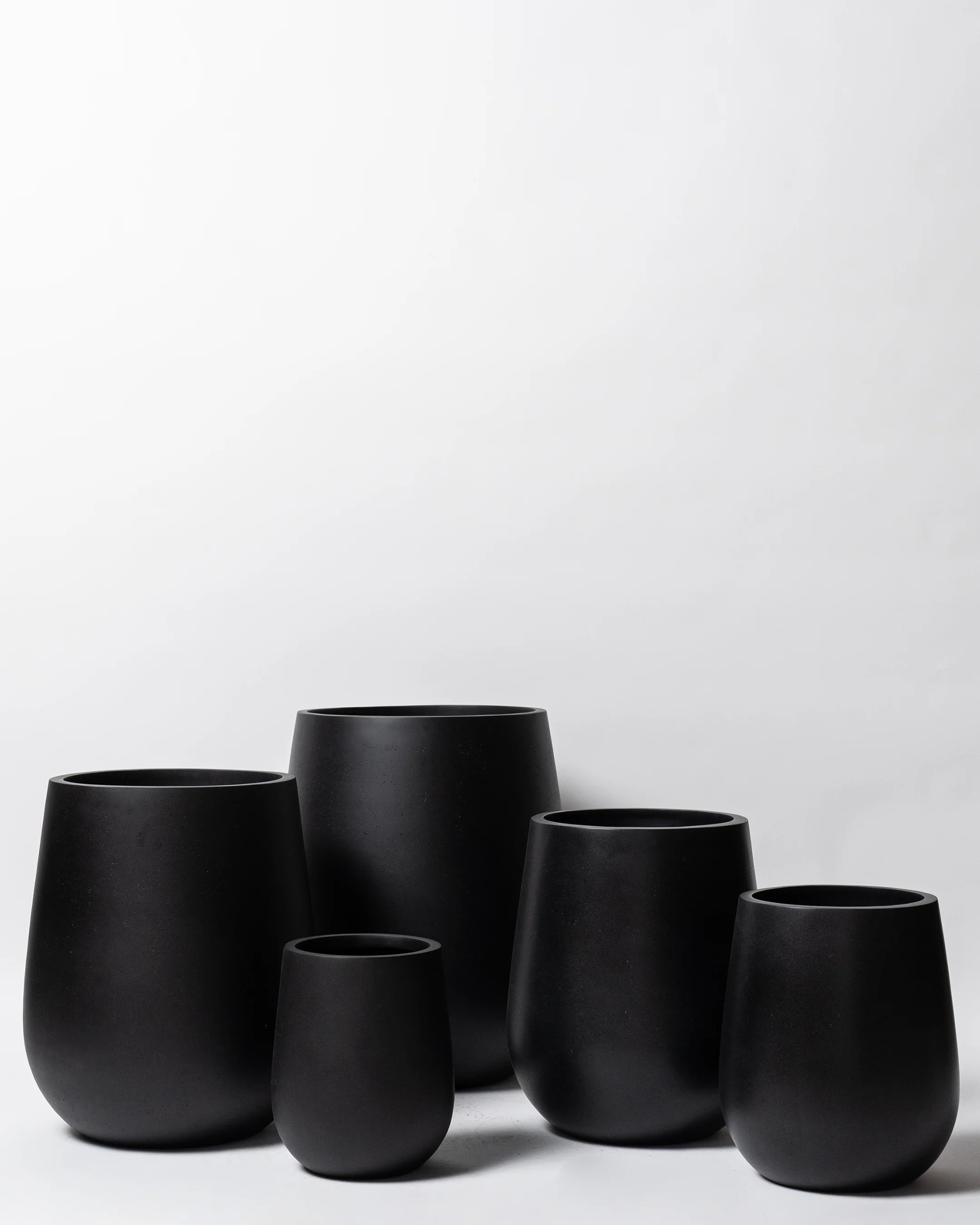 Westringia Pot - Image 8